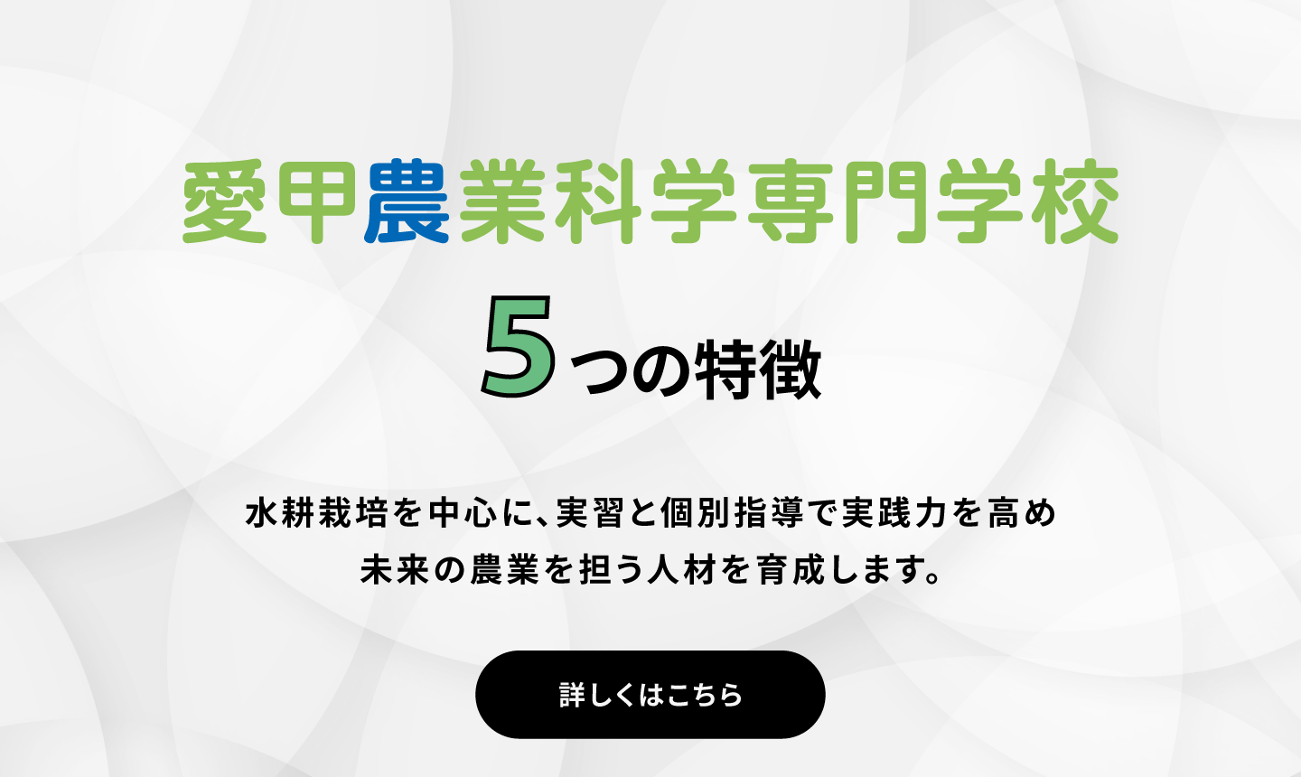 5つの特徴