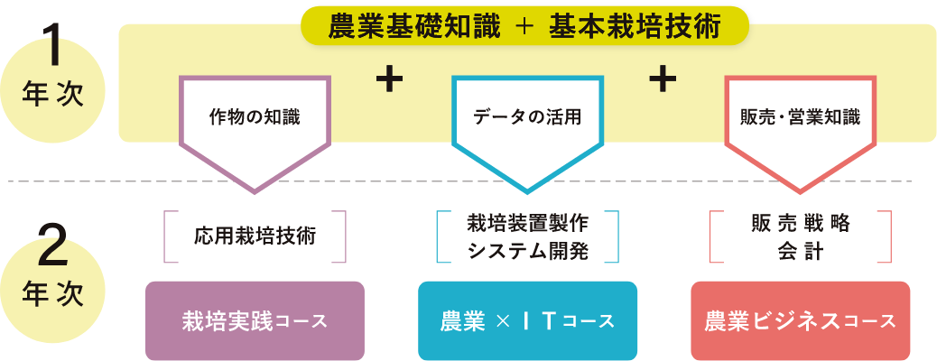 設置コース